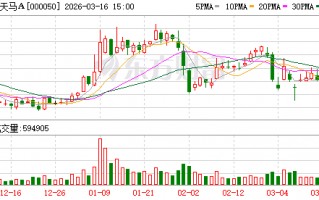 M深天马A：目前公司在第6代柔性AMOLED产线上布局的IT、车载显示项目顺利推进