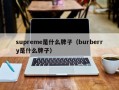Msupreme是什么牌子（burberry是什么牌子）