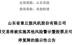 M虚减利润被罚！002598，将被ST！