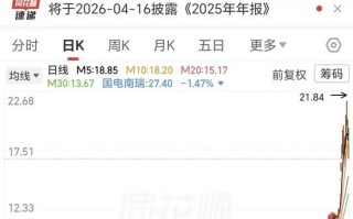 M10天6涨停后闪崩！电力“妖股”股东拟高位套现，董事长曾被捕