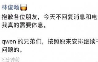 M阿里回应林俊旸离职！内部人士：其离职系权责调整分歧