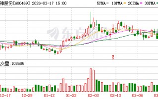 M风神股份：公司巨胎定价模式偏向锚定国际品牌