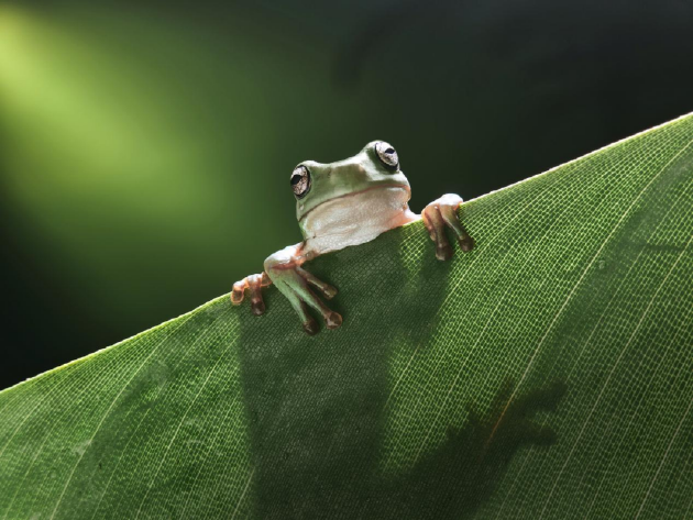 MOPPO Find N6全球发布：破解折叠屏8年折痕难题 售价9999元起