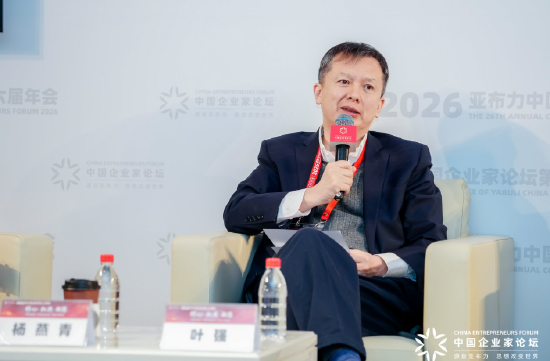 M叶强：现在大模型不见得需要全域，垂域技术会不断出现