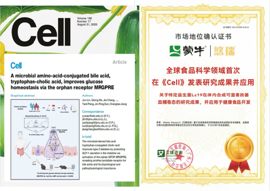 M蒙牛发布2025年财报：进化强韧性，蓄力迎增长