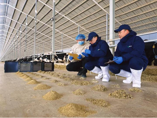 M蒙牛发布2025年财报：进化强韧性，蓄力迎增长