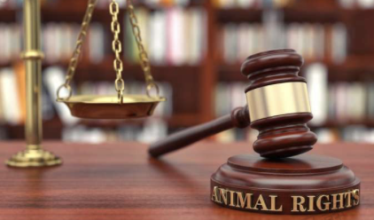 M证监会一日下发6份罚单、4家被立案,4类隐匿伎俩踩入监管红线 M证监会一日下发6份罚单、4家被立案,4类隐匿伎俩踩入监管红线