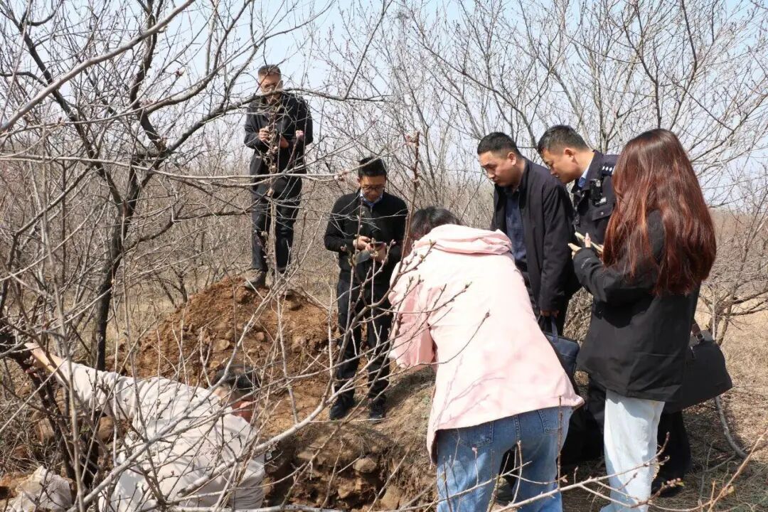 M听说埋有大量黄金，想要“一辈子衣食无忧”，山东公安：5人已被依法采取刑事强制措施