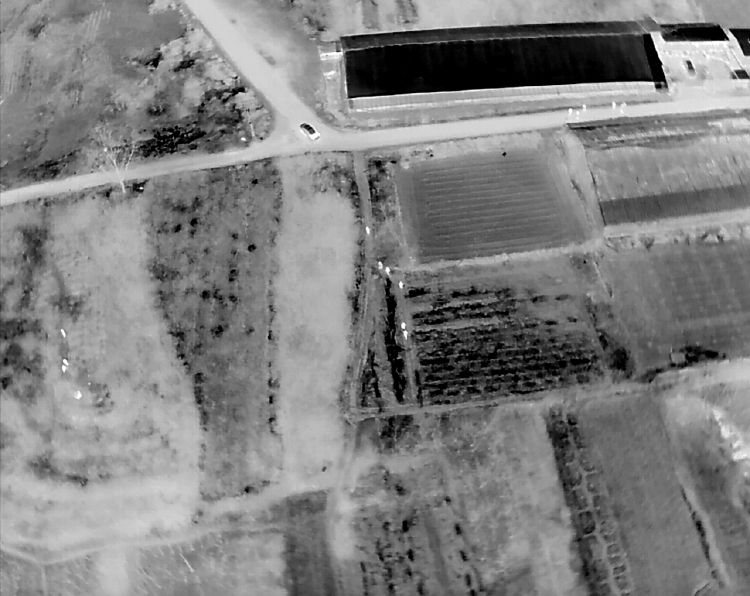 M听说埋有大量黄金，想要“一辈子衣食无忧”，山东公安：5人已被依法采取刑事强制措施