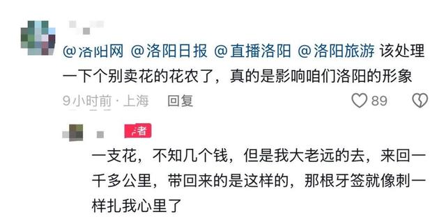 M游客称在洛阳一市集买的牡丹,竟是牙签固定的 “断头花”!市集回应:已关注,正核实 M游客称在洛阳一市集买的牡丹,竟是牙签固定的 “断头花”!市集回应:已关注,正核实